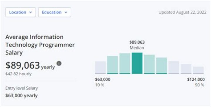 How much does a computer programmer get paid an hour?