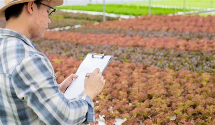 How much does a farm hand make UK?
