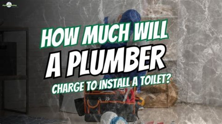 How much does a plumber charge to replace a toilet seal?