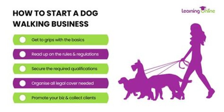 How much does it cost to start a dog walking business?