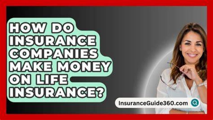How much money do insurance companies make?