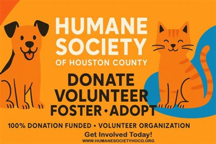 How old do you have to be to volunteer at the Humane Society?