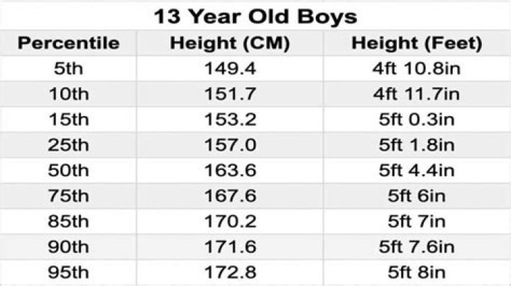 How tall is an average 13 year old boy?