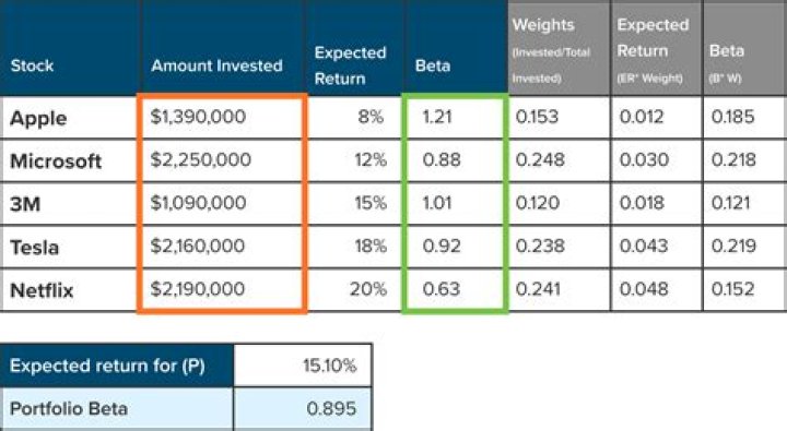 How will I determine if my portfolio is meeting my expected return?