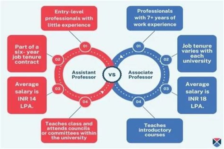 Is Assistant or associate professor higher?