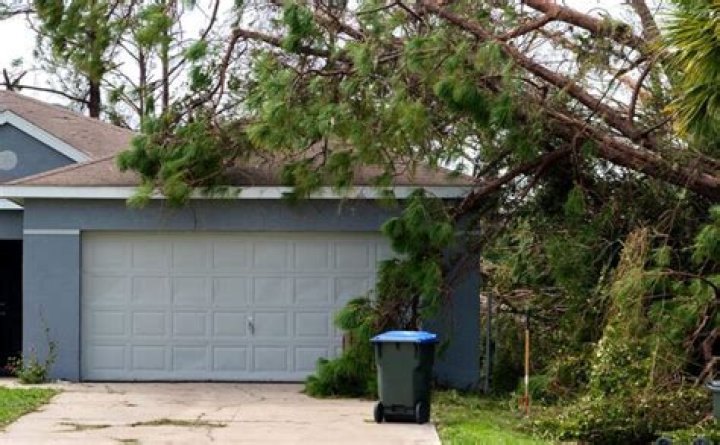 Is falling tree damage covered by insurance?