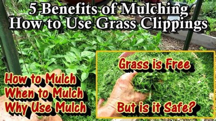 Is it OK to cut grass twice in one day?