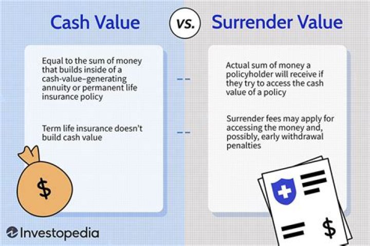 Is net surrender value the same as cash value?