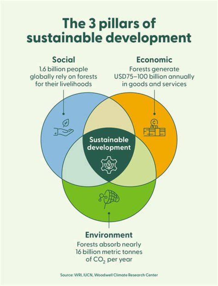 Is sustainable development costly?