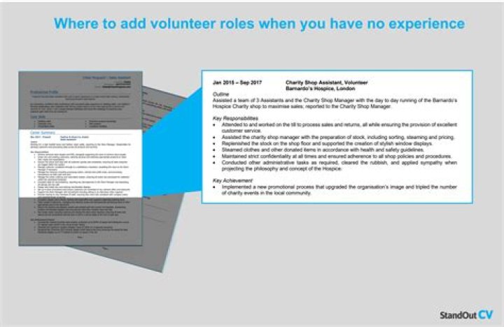 Should I put volunteer work under work experience on application?