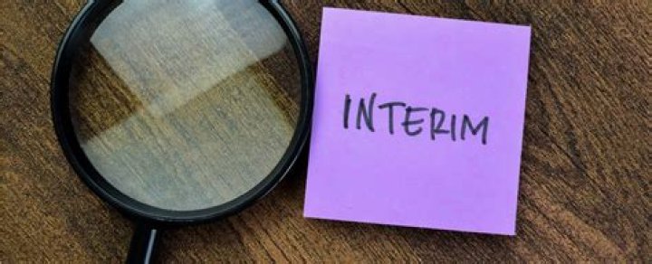 Should I take an interim role?