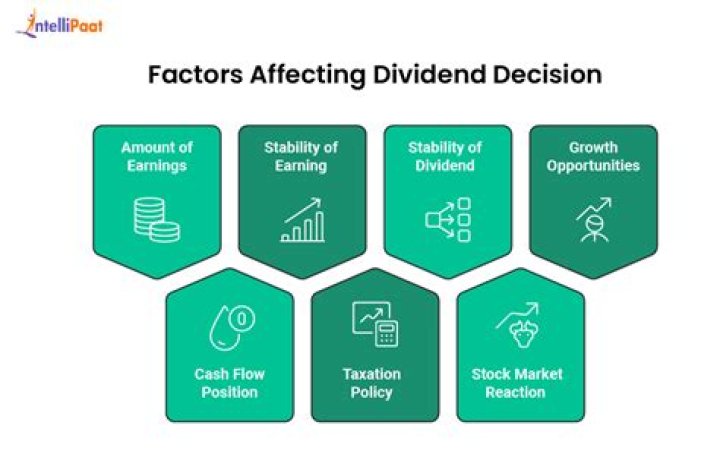 What affects the dividend decision?