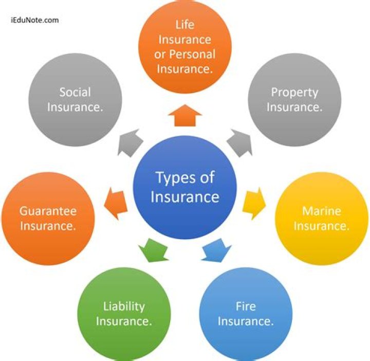 What are 2 types of insurance you should get?
