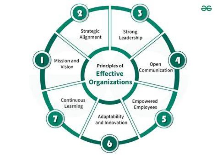 What are 3 principles of an effective organization?