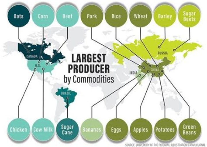 What are commodity producers?