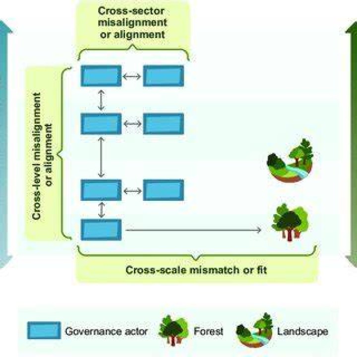 What are cross-level interactions?
