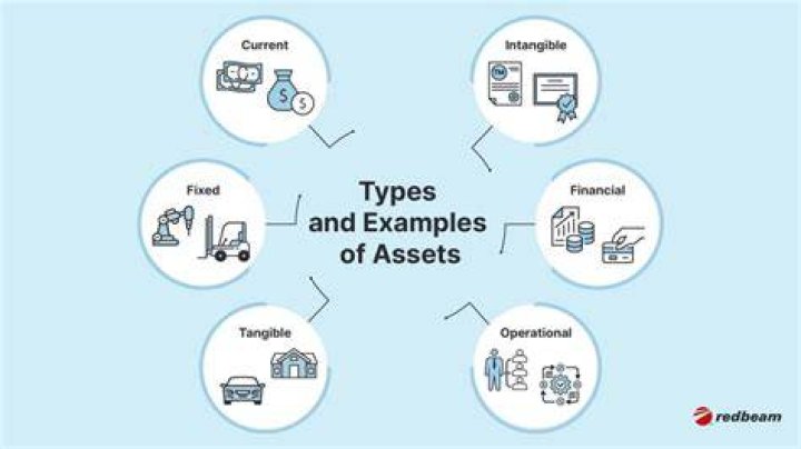 What are examples of assets in business?