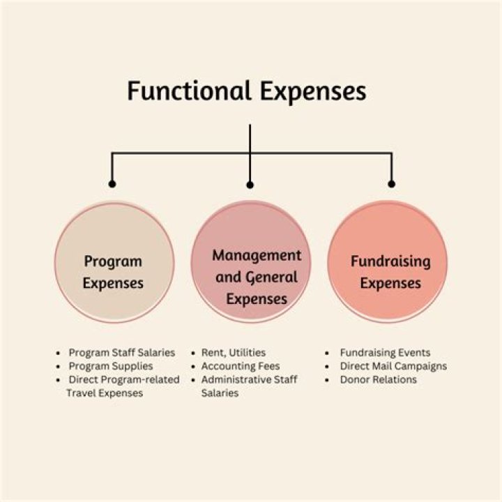 What are functional expenses?