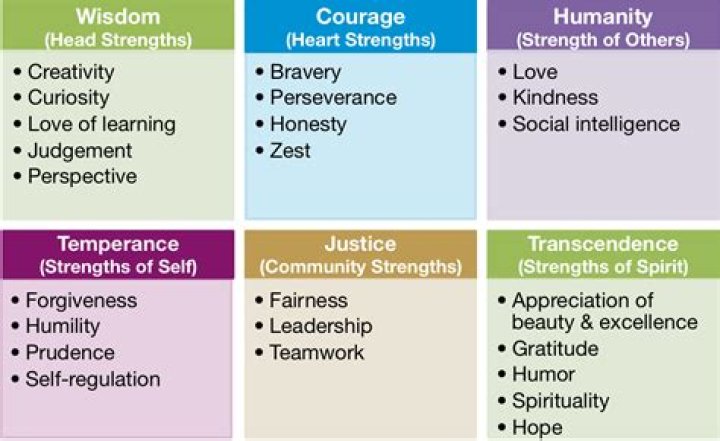 What are identified strengths?