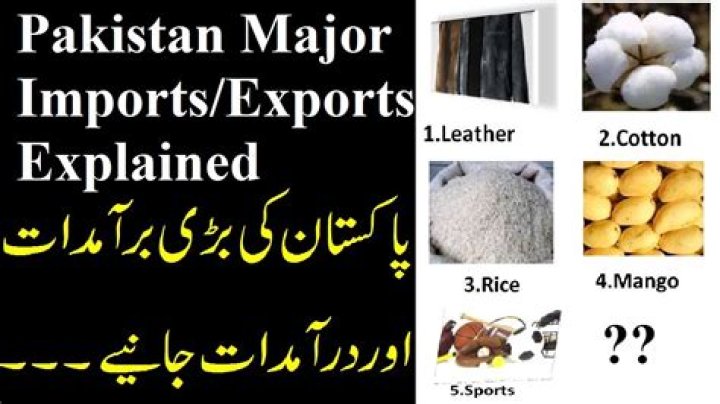 What are major imports of Pakistan?