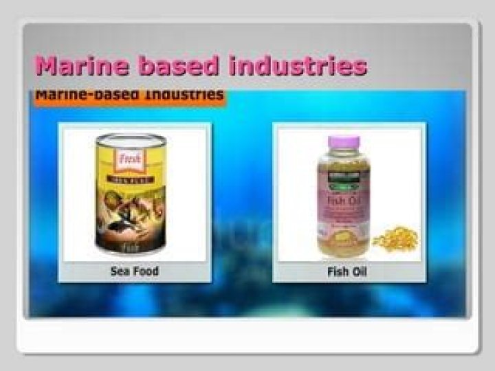 What are marine based industries Class 8?