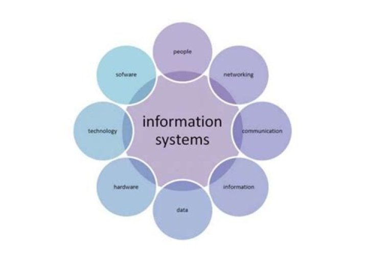 What are some functions of information systems?