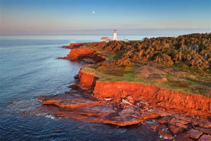 What are some imports of Prince Edward Island?