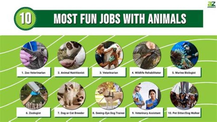 What are some jobs that work with horses?