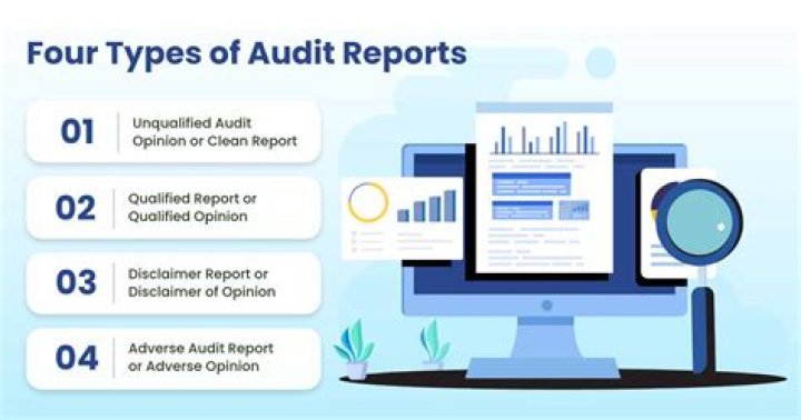What are the 4 types of audits?