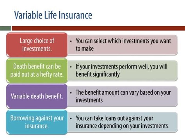 What are the characteristics of a variable life insurance?