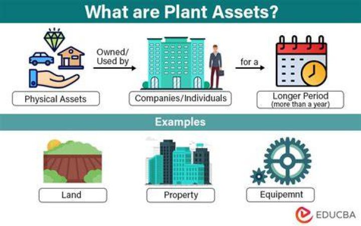 What are the characteristics of plant assets?