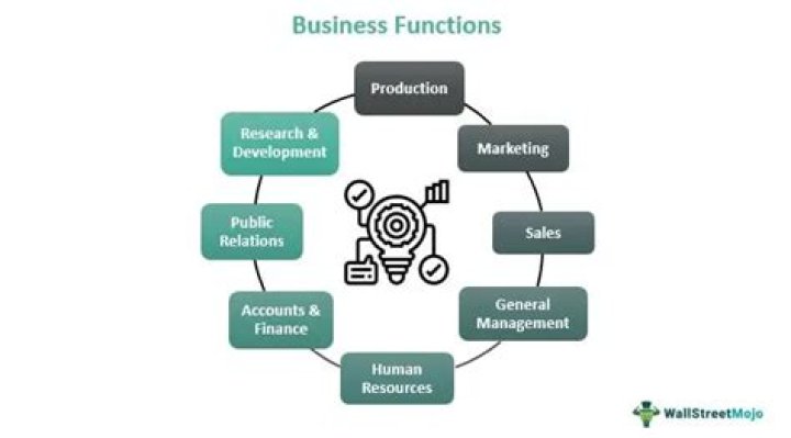 What are the common business functions?