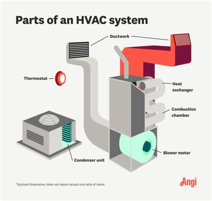 What are the components of AF?