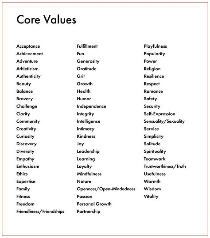 What are the core values of the CIA?