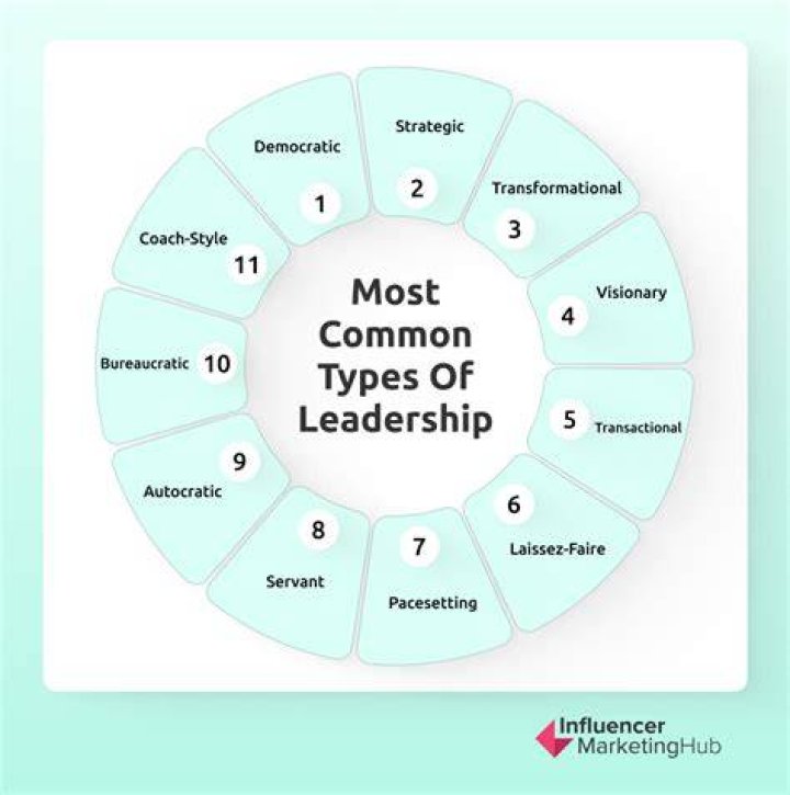 What are the different types of synergy?