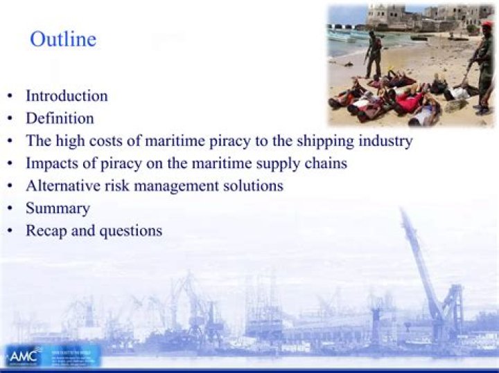 What are the economic impacts of piracy?