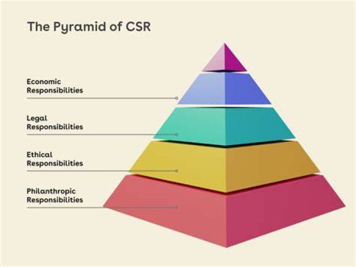 What are the four stages of social responsibility?