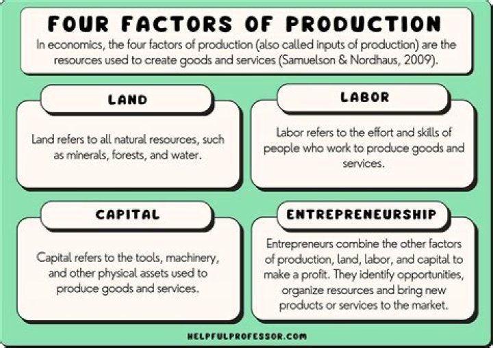 What are the four types of commodities?