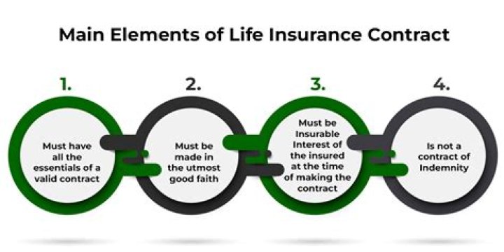 What are the main characteristics of a life insurance contract?