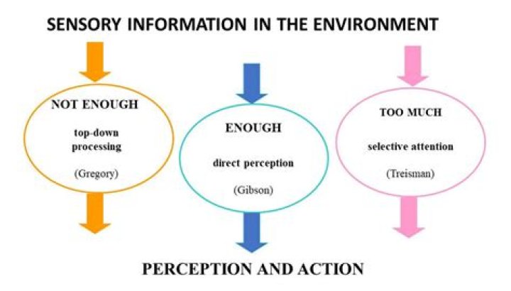 What are the nature of perception?