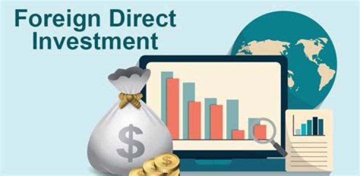 What are the negative effects of foreign investment?