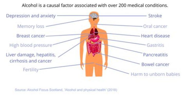 What are the social effects of excessive alcohol consumption?