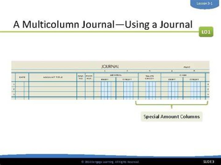 What are the special amount columns on the journal?