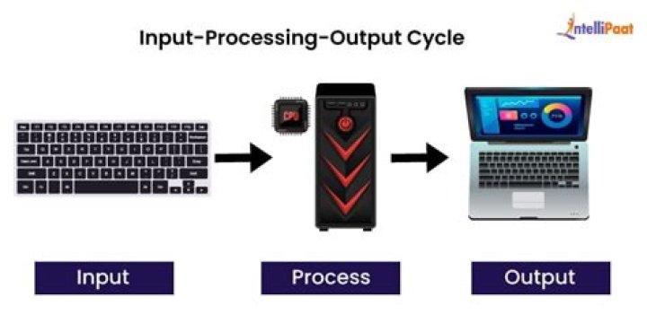 What are the steps of IPO cycle?