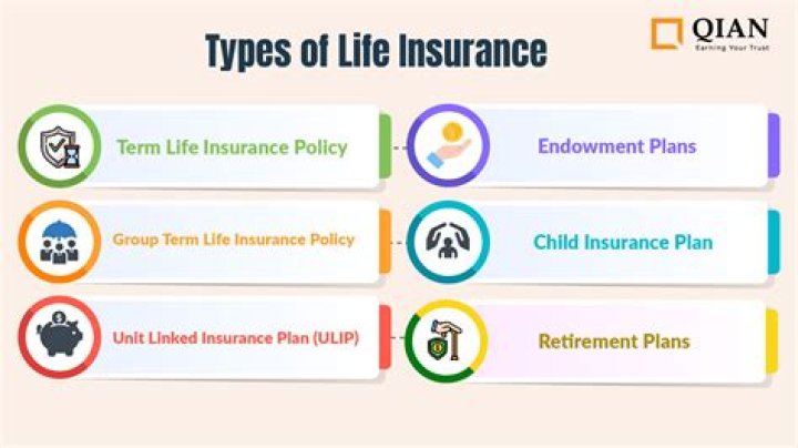What are the three parts to a life insurance policy?