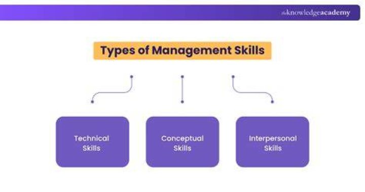 What are the three types of managerial skills?