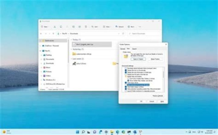 What are the two main areas in Windows Explorer window?