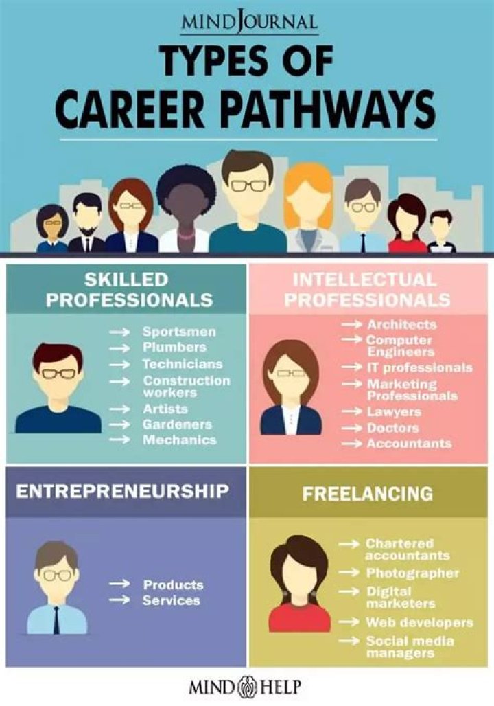 What are the types of career opportunity?