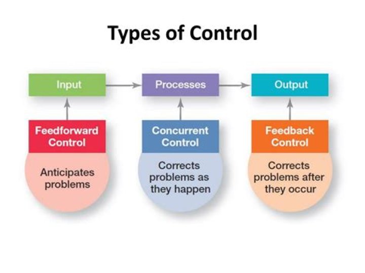 What are the types of control in business?