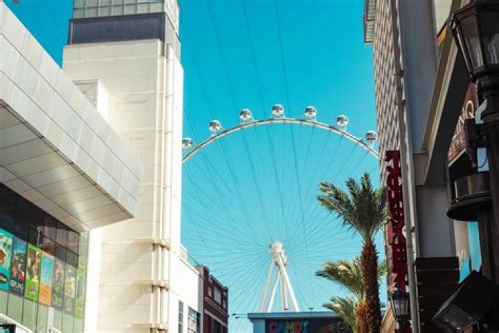 What can a 13 year old do in Las Vegas?